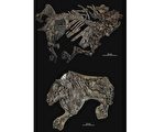 考古发现4700万年前马和现代中型犬一样大