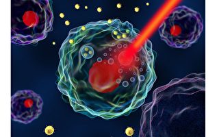 新发明金纳米粒子专门攻击癌细胞