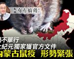 【有冇搞错】祸不单行 内蒙古鼠疫形势紧张