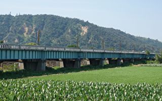 登橋看火車 「舊大安溪橋」將成熱門景點