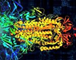 科学家用病毒蛋白质结构谱曲