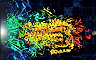 科學家用病毒蛋白質結構譜曲