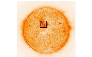 新照片揭示太阳表面逾百万度高温等离子磁力线