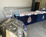 溫警方繳獲價值300萬街頭毒品
