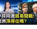 從大麥牛肉到鐵礦石 中共向澳洲開打貿易戰