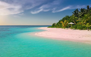 秘境科莫多岛像童话世界 粉红沙滩超梦幻