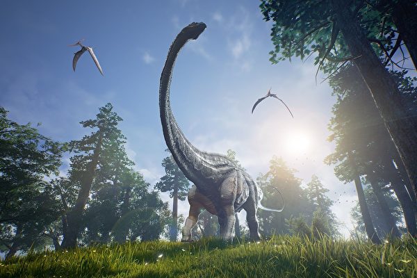 澳洲新發現長頸恐龍化石
