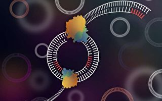 科学家发明环形DNA测序工具