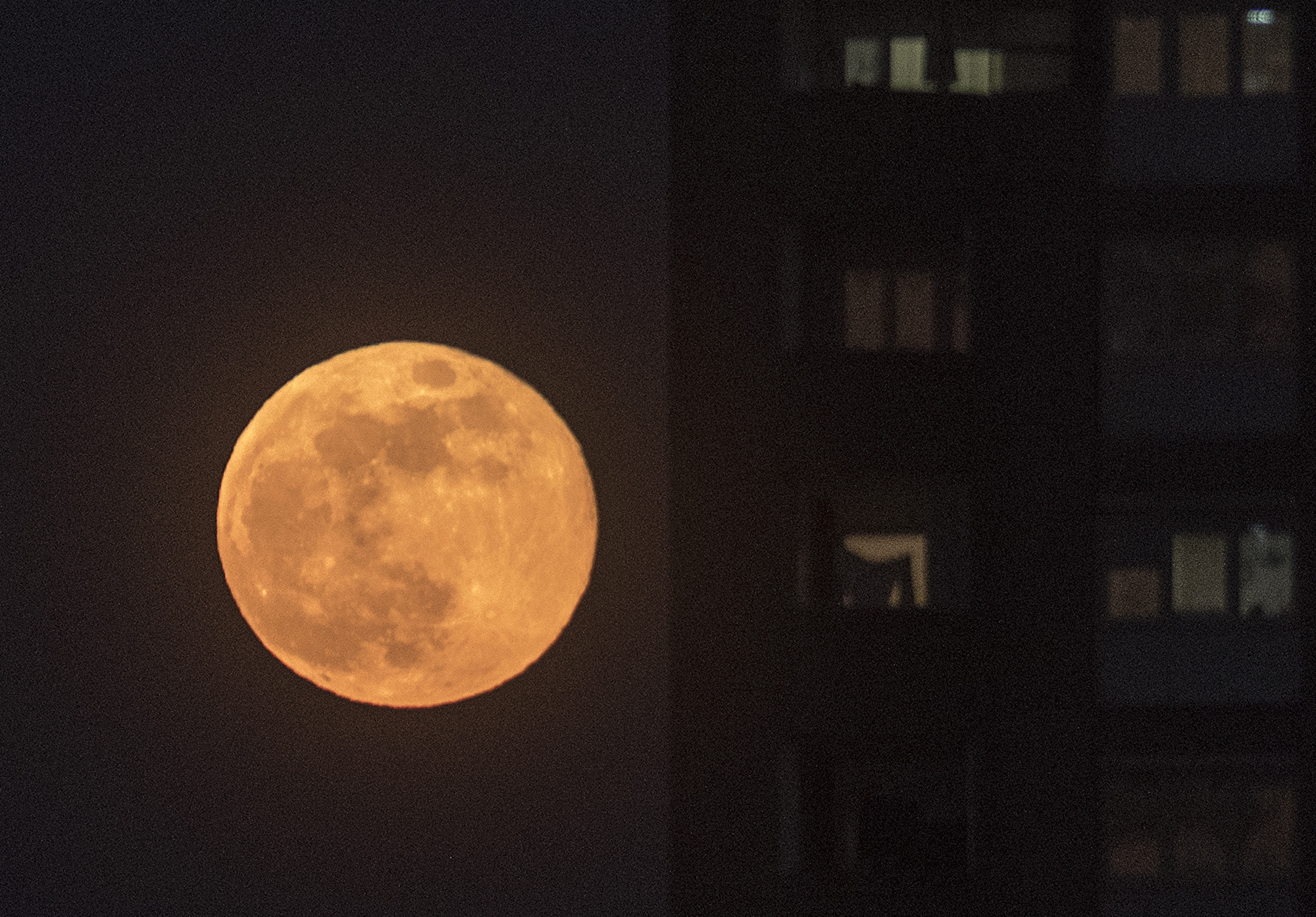 今年最后一个超级月亮 花月 美景共欣赏 满月 照片 5月 大纪元