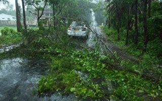 超級氣旋安芬登陸印度 強風暴致多人死亡
