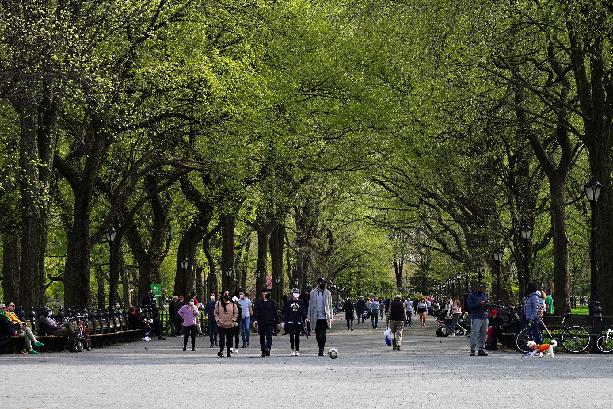 2020年4月25日，人们在纽约市的中央公园里散步。(Cindy Ord/Getty Images)