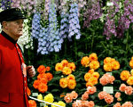 英國切爾西花展   首度網上舉辦