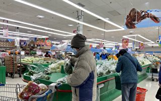 疫情趨平 安省指導企業恢復經營
