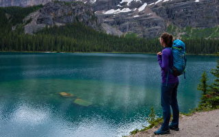 加拿大部分国家公园6月1日重新开放