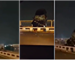 【现场视频】武汉长江大桥现事故 车子悬在半空