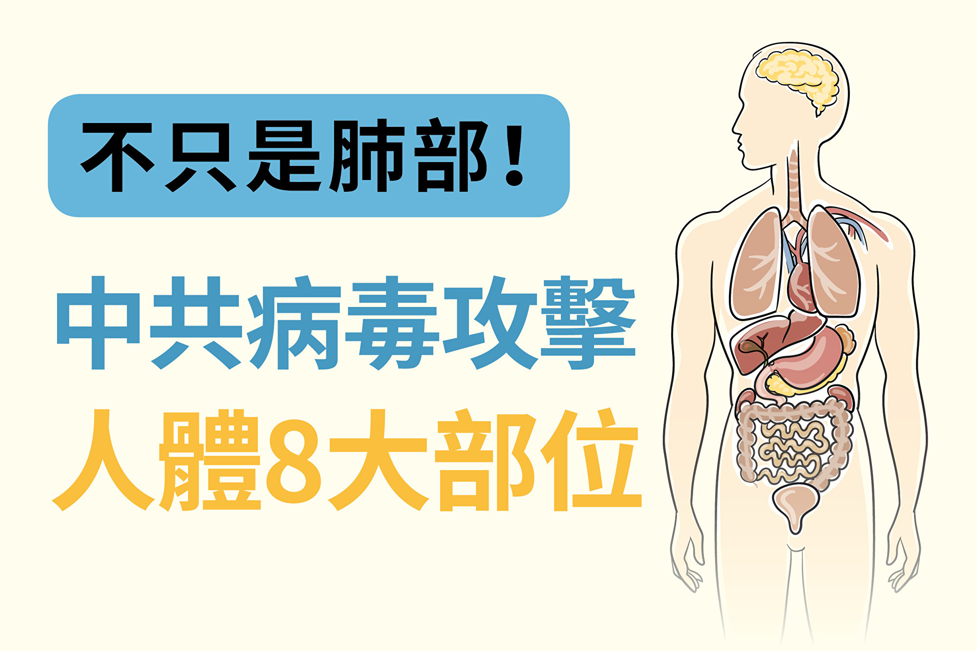 不只是肺部 中共病毒攻击人体8大部位 器官 新型冠状病毒 危害 大纪元