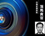 安徽马鞍山市前政法委书记从辉落马