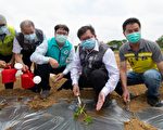 “来乡下种西瓜” 疫情期间尽情体验农事活动