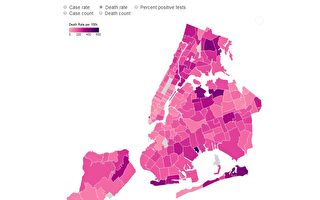 纽约市哪些地区受中共病毒瘟疫影响最严重？