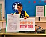 廟會停擺  陣頭控：申請紓困金被刁難