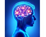科学家找到大脑特殊区域瞬间关闭痛觉