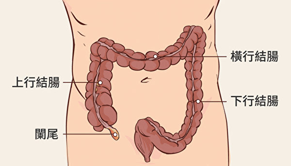 宿便可能导致肚子痛，可以按顺序按摩肠道部位来通便、改善腹痛。（Shutterstock/大纪元制图）