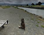 列治文Point Isabel Shoreline公園週一重新開放