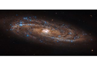哈勃新作：嵌滿藍寶石的螺旋星系