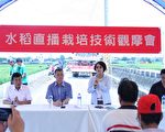 水稻也玩“直播”？台中农改场证实干式直播