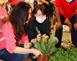 鼓励三倍券存悠游卡 北市40万敬老卡加码送1千