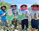 推廣安心國旅 林佳龍台東下田當農夫