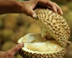 榴莲包裹臭倒12名德国邮递员 6名进医院