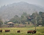 王星綁架案如何影響中國人赴泰國旅遊意願