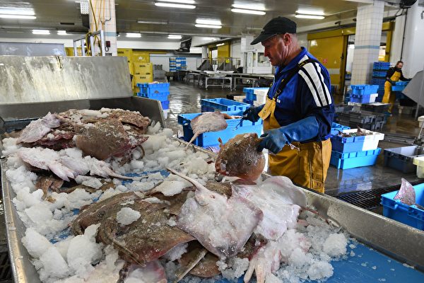 組圖：疫情下法國吉爾維內克港的漁業