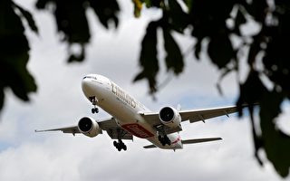 IATA：航空業今年預計將虧損840億美元