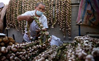 美參議員要求調查惡劣條件下生產的中國蒜