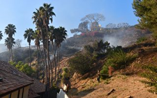 洛城富人區貝萊爾爆發山火 延燒50英畝