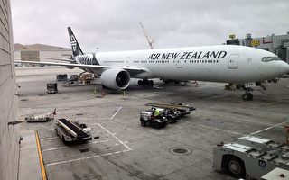 新西兰航空重启往返上海航线