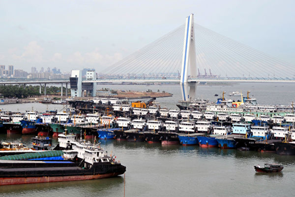 谢田：为什么海南自由贸易港会成四不像？