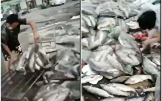 挪威漁產部長：北京疫情源頭不是挪威三文魚
