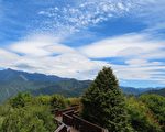 阿里山「仲夏森遊」 門票半價再享優惠