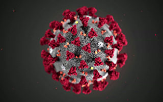 研究：人類對中共病毒的免疫力是短暫的