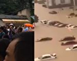 【视频】高考首日 安徽歙县因洪涝取消两科考试