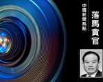 西安前副市长强小安被查 3个月前被免职