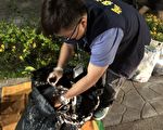 嘉市環保局籲加強垃圾分類   已恢復破袋稽查