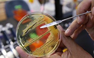加國五省爆發沙門氏菌 59人患病