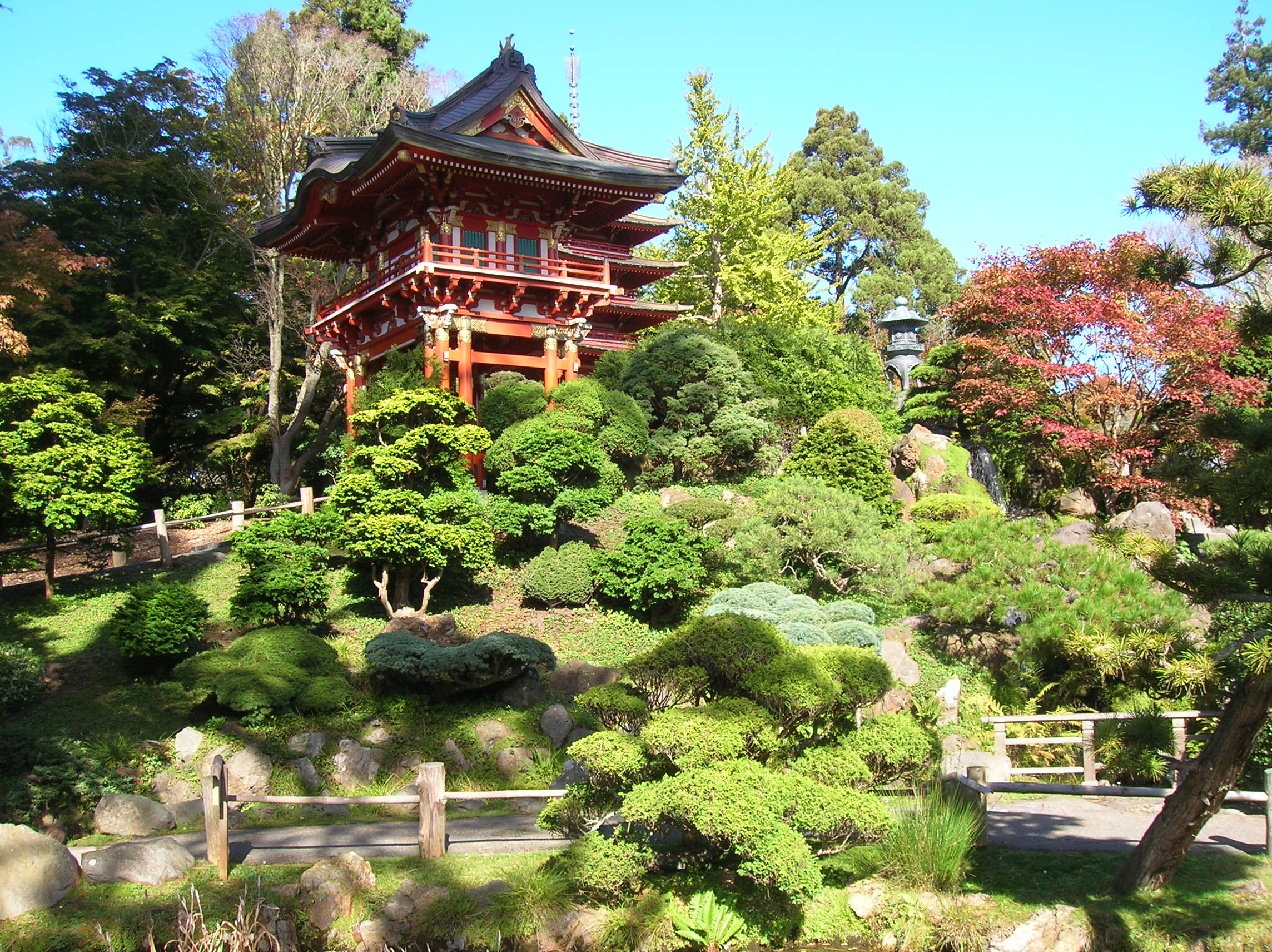 旧金山金门公园日本茶园重新开放| Japanese Tea Garden | 大纪元