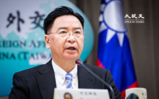台外長：中共欲將台灣變香港 轉移國內危機