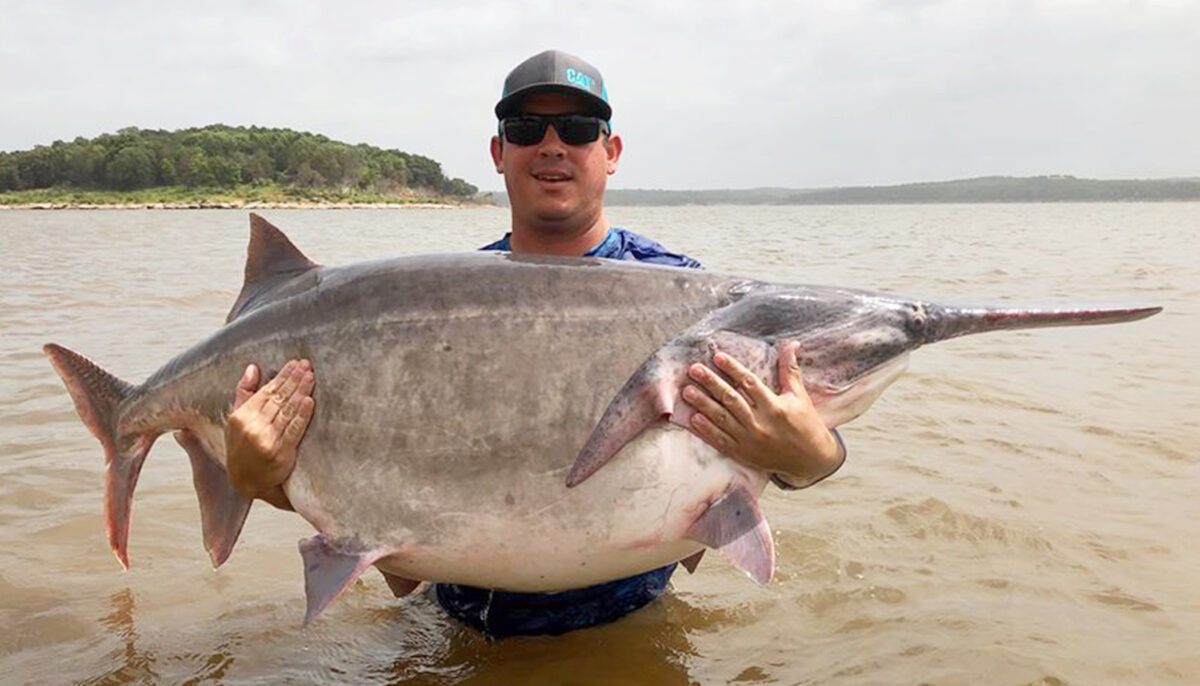 捕獲222磅重鯰魚後放生垂釣者分享驚心動魄經歷｜大紀元時報香港｜獨立敢言的良心媒體