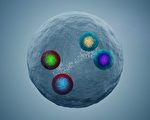 CERN发现新型四夸克粒子